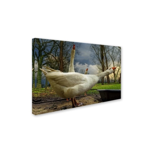 Piet Flour 'The 3 Geese' Canvas Art,12x19